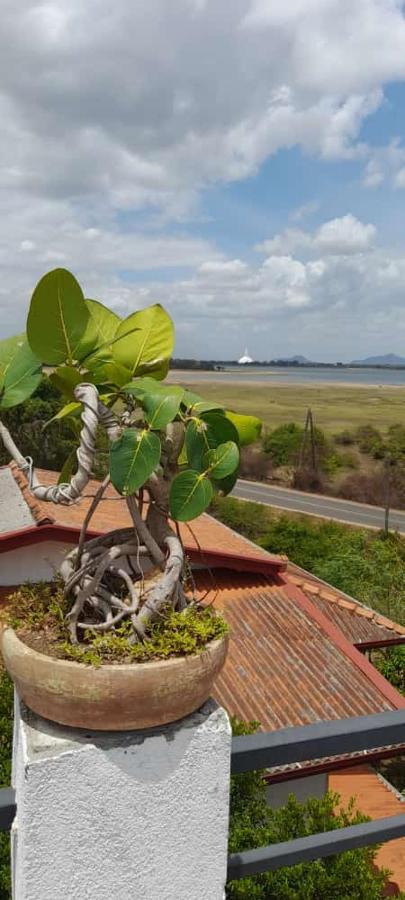 Lake Edge Resort Anuradhapura Dış mekan fotoğraf